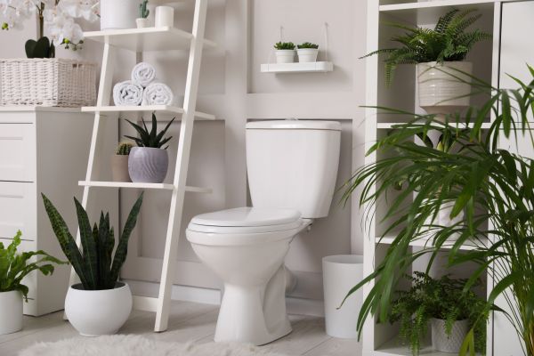 Cost of Toilet Repair in Anderson