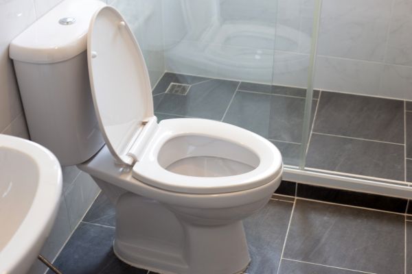 Cost of Toilet Replacement in Anderson