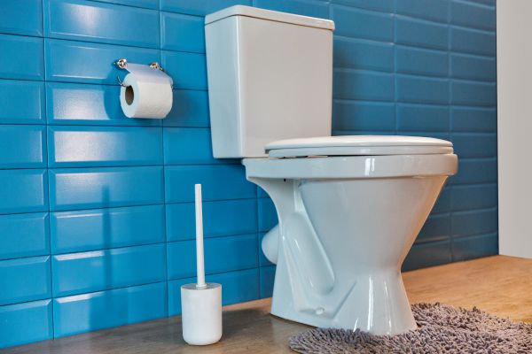 Cost of Toilet Tank Repair in Anderson
